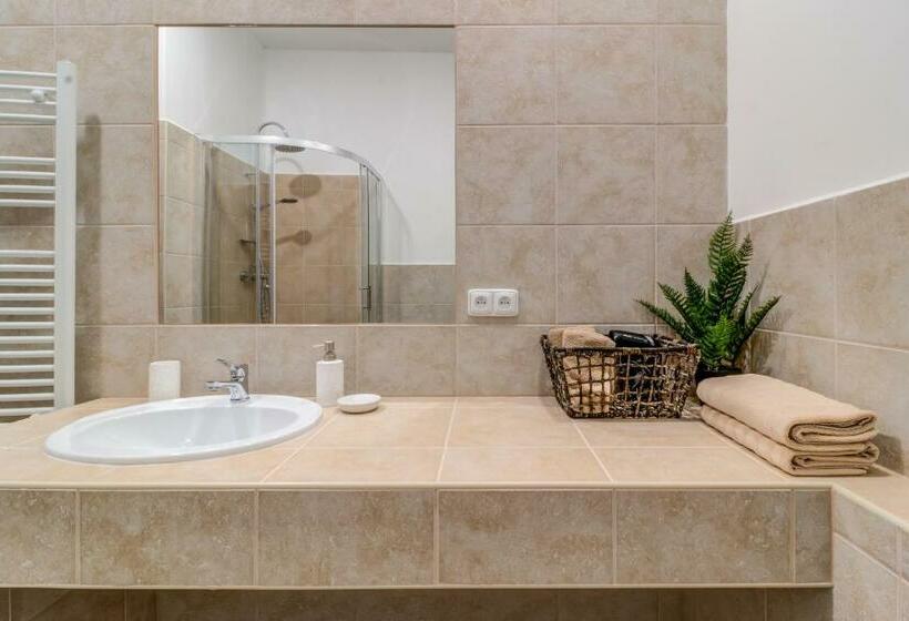 شقة ديلوكس غرفة واحدة, Maxim