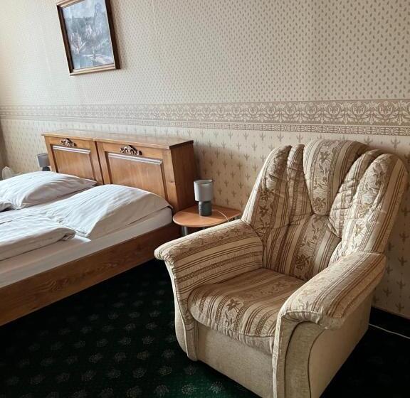 غرفة قياسية مطلة على المدينة, Maxim