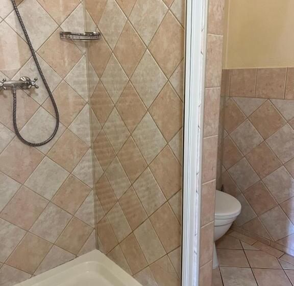 غرفة قياسية مطلة على المدينة, Maxim