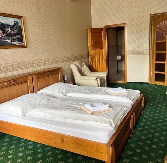 غرفة قياسية مطلة على المدينة, Maxim