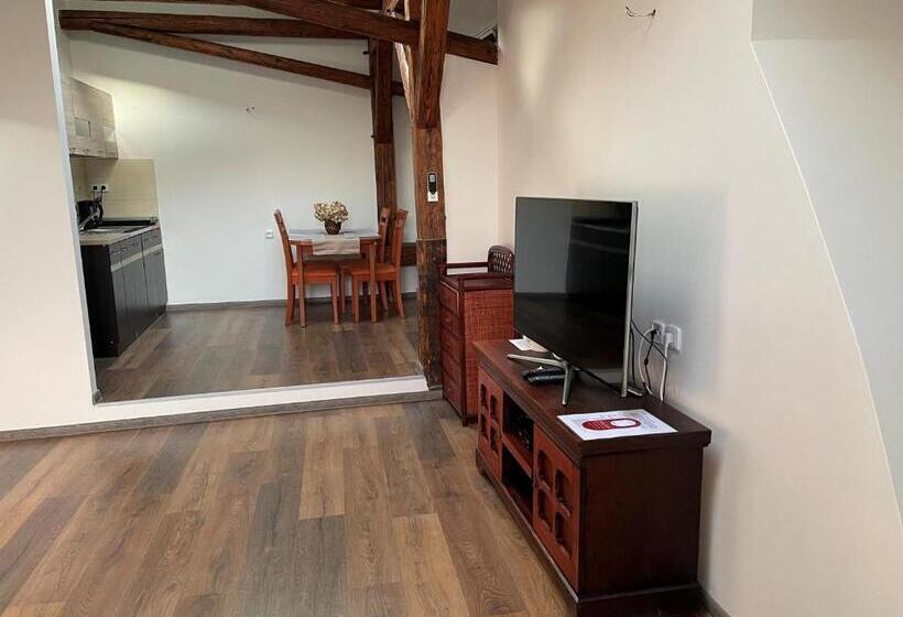 شقة غرفة واحدة, Maxim