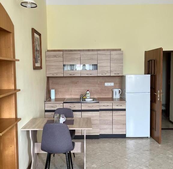 إستوديو قياسى, Maxim