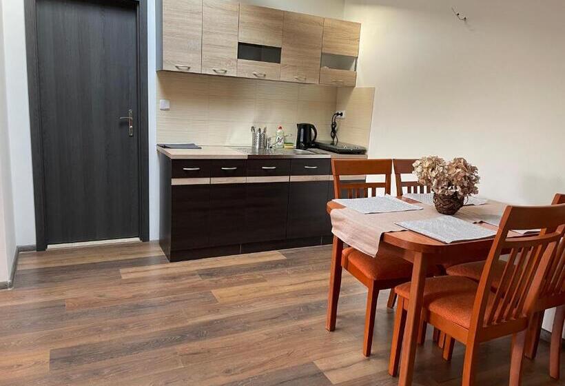 شقة غرفة واحدة, Maxim