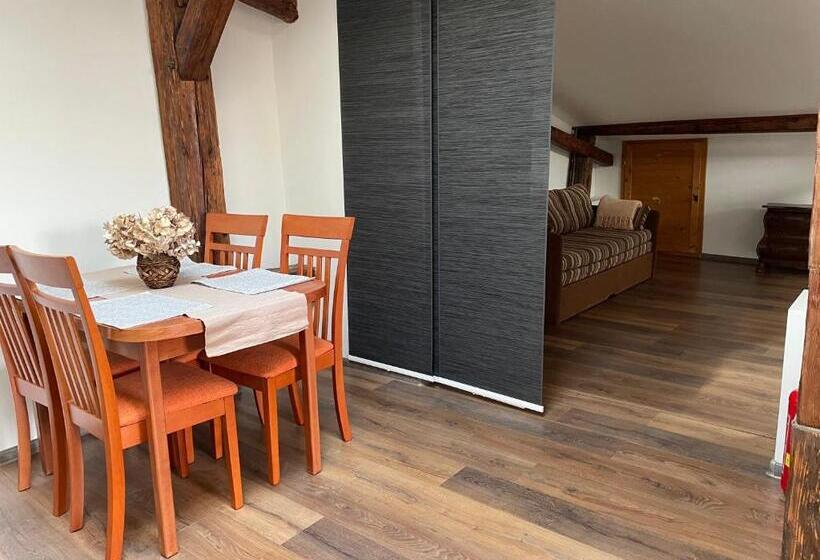 شقة غرفة واحدة, Maxim