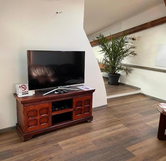 شقة غرفة واحدة, Maxim