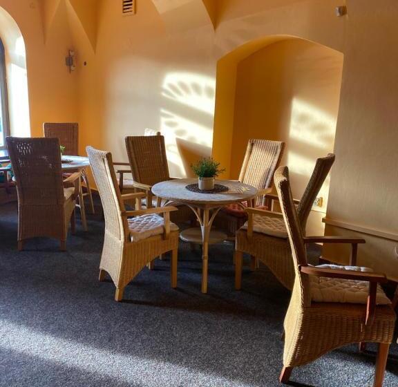 شقة غرفة واحدة, Maxim