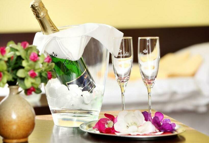 Семейный Номер Вид на Бассейн, Milan Vopicka