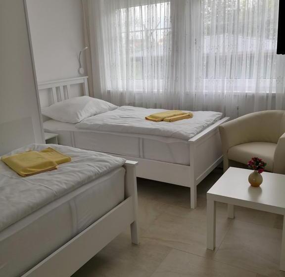 Семейный Номер Deluxe, Milan Vopicka