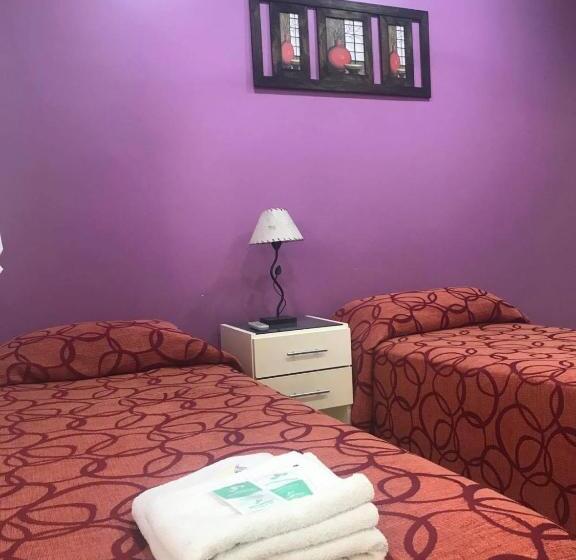 اتاق اکونومی, San Carlos