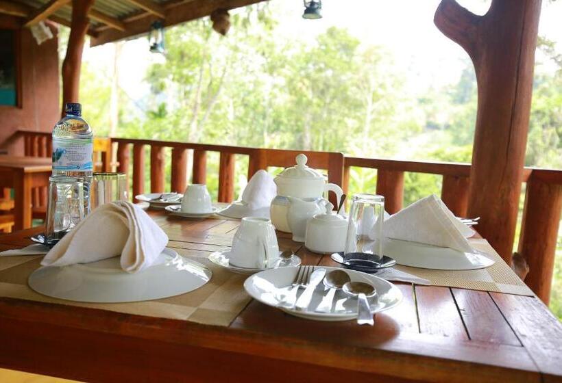 标准房带园景, Tea Forest Lodge