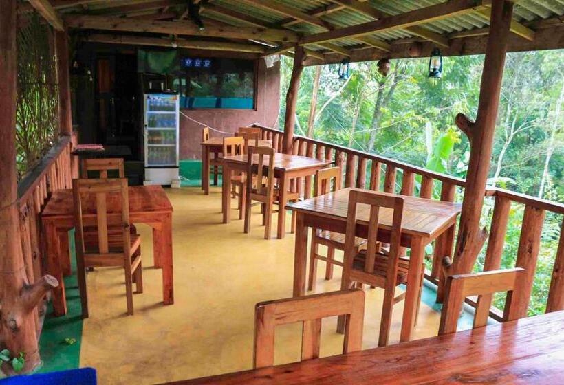 ガーデンビュースタンダードルーム, Tea Forest Lodge