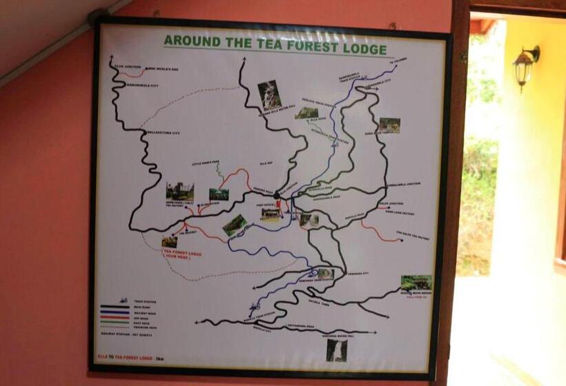 ガーデンビュースタンダードルーム, Tea Forest Lodge