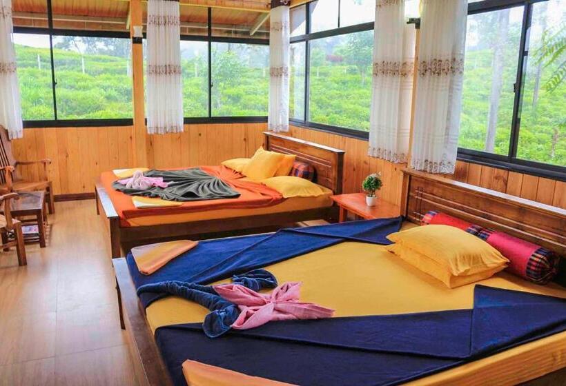 豪华家庭房间, Tea Forest Lodge