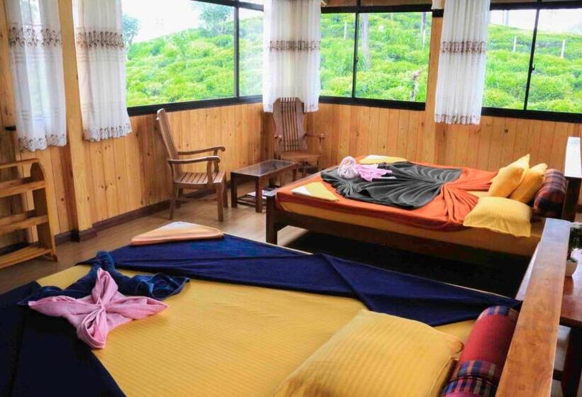 デラックスファミリールーム, Tea Forest Lodge