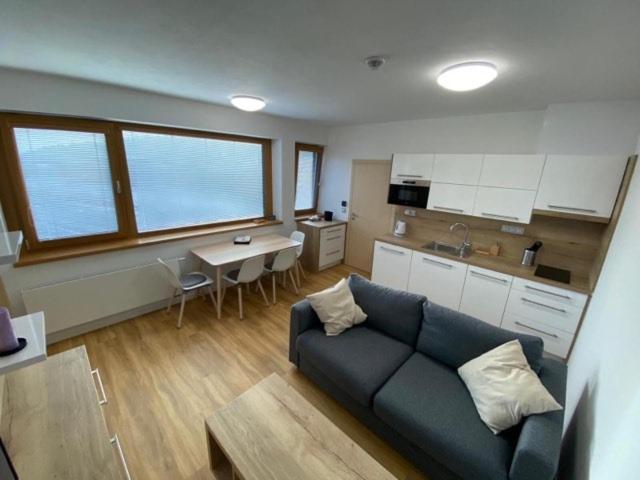 شقة غرفة واحدة, U Kabinky