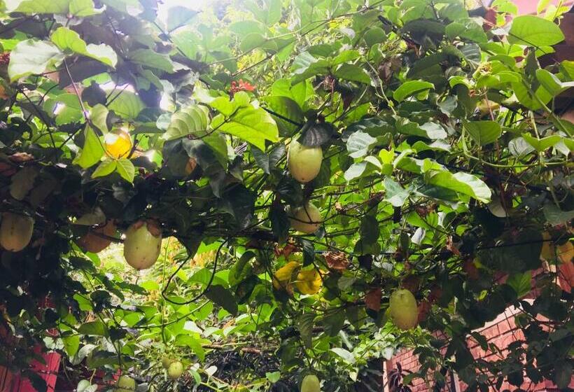 Номер Deluxe с Балконом, Veraima Kandy