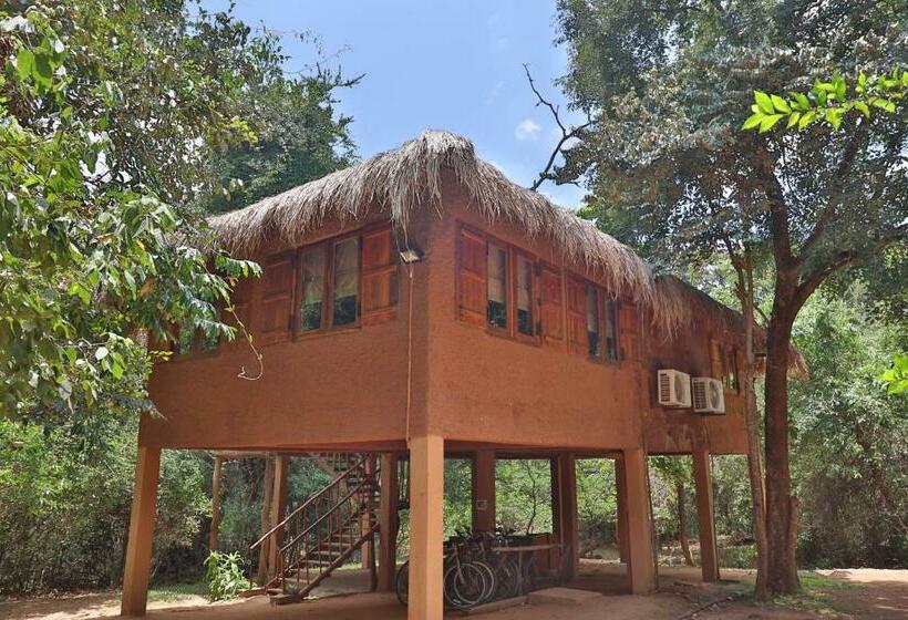 Семейный Номер, The Other Corner Habarana