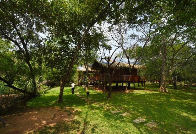 Хижина, The Other Corner Habarana