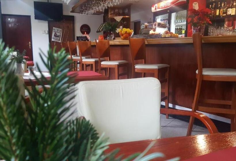 스탠다드 싱글 룸, Wellness Hotel Staré Město