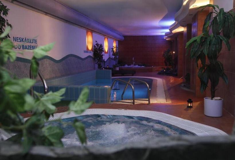 스탠다드 싱글 룸, Wellness Hotel Staré Město