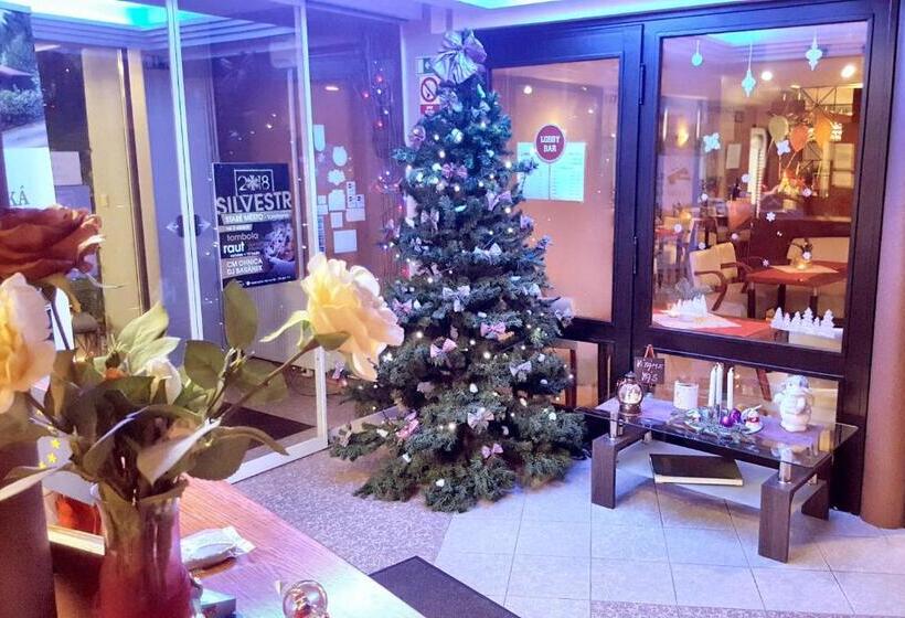 수피리어 룸, Wellness Hotel Staré Město