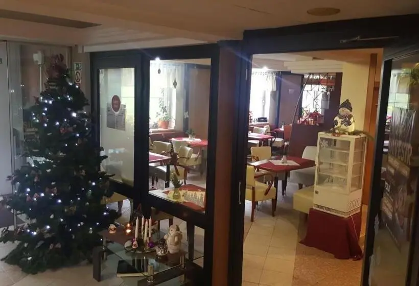 スタンダードシングルルーム, Wellness Hotel Staré Město