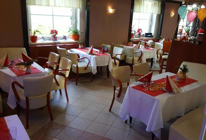 스탠다드 싱글 룸, Wellness Hotel Staré Město