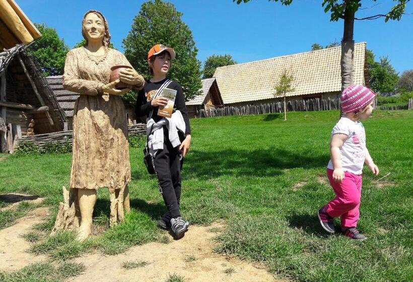 스탠다드 룸, Wellness Hotel Staré Město