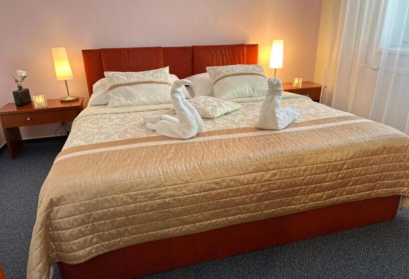 수피리어 룸, Wellness Hotel Staré Město