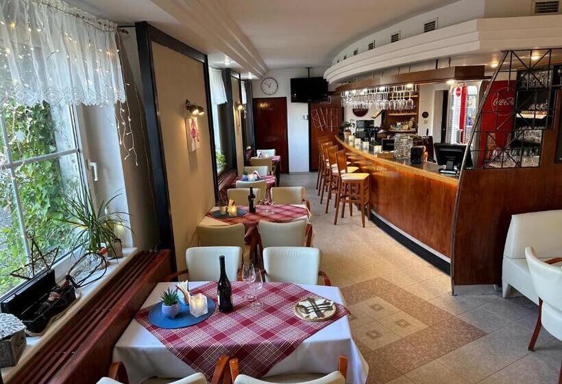 اتاق سوپریور, Wellness Hotel Staré Město