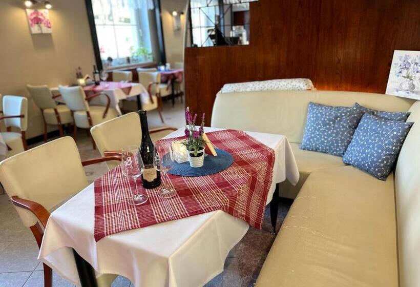 스탠다드 싱글 룸, Wellness Hotel Staré Město