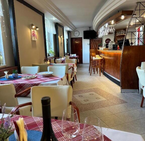 스탠다드 싱글 룸, Wellness Hotel Staré Město