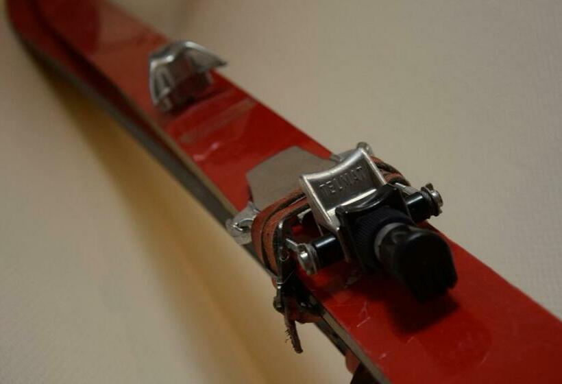 Номер Стандарт Совместная Ванная, Parkvillan