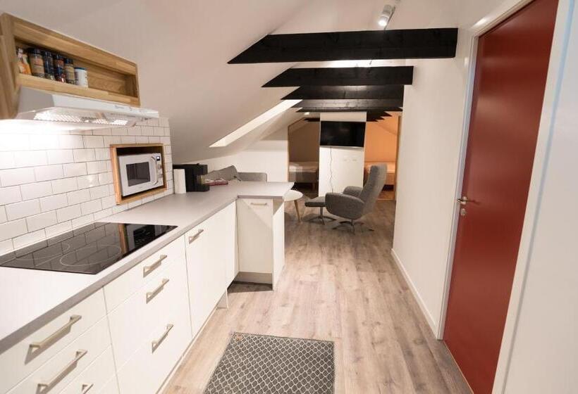 Апартаменты Пентхаус 1 Спальня, Parkvillan