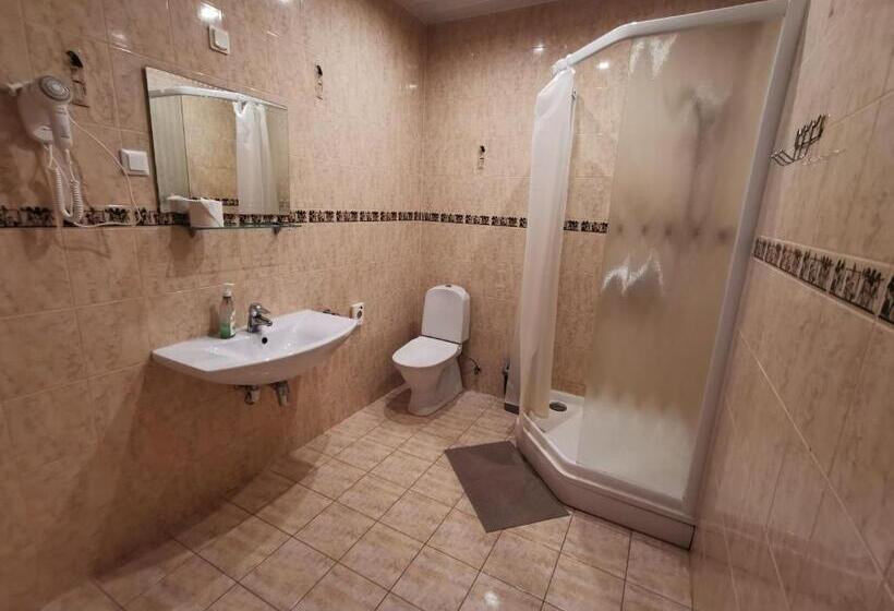 اتاق استاندارد, Privat