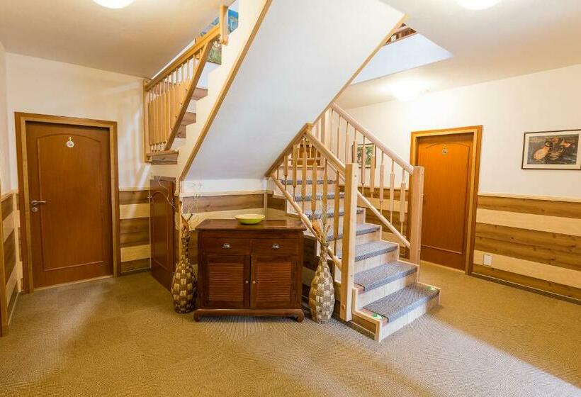 דירת חדר, Admiral