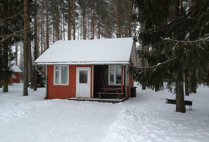 بانگلوی استاندارد, Baiļi