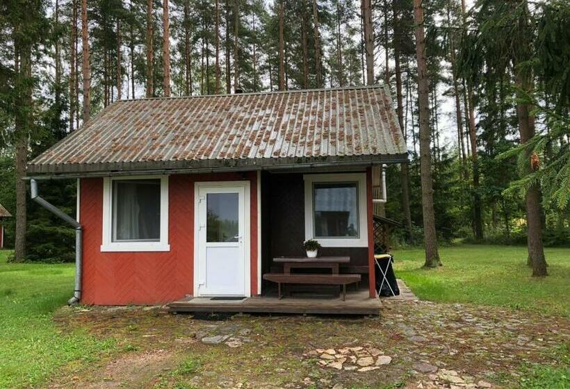 بانگلوی استاندارد, Baiļi