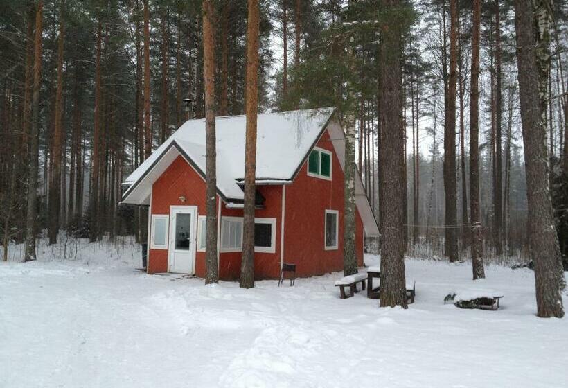 بانگلوی استاندارد, Baiļi