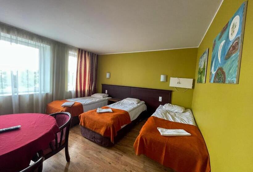 اتاق استاندارد سه نفره, Bed And Breakfast Taurage Center