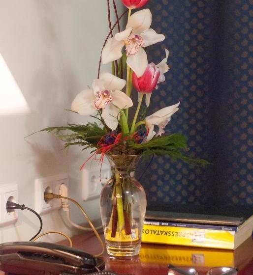 اتاق سوپریور, Draakon