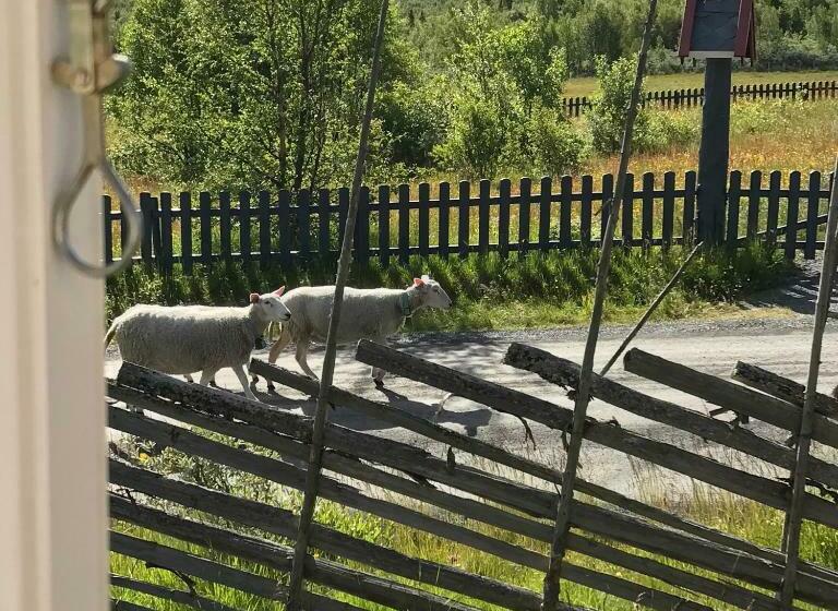 בית, חדר שינה 1, Gomobu Fjellstue