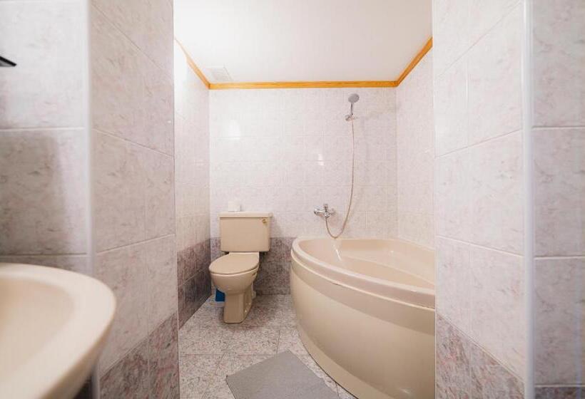 آپارتمان 1 خوابه, Jēkaba Sēta