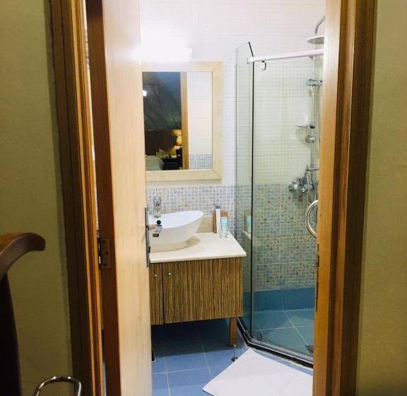 Номер Deluxe, Palm