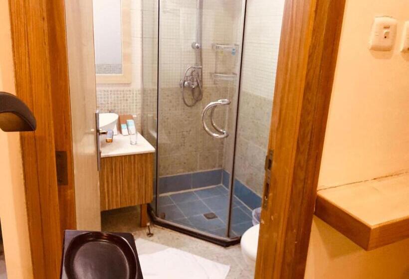 Номер Стандарт, Palm