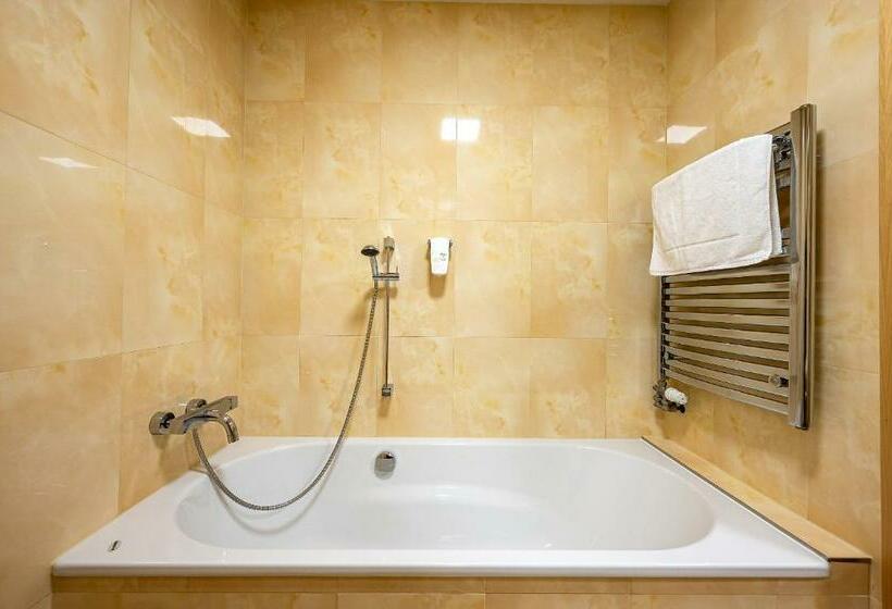 스탠다드 룸, Penzion V Ráji