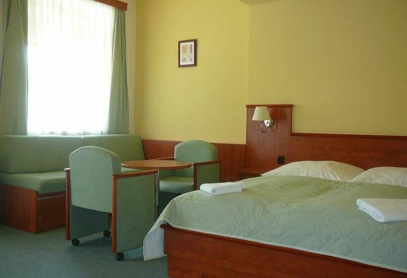 חדר סטנדרט, Praha