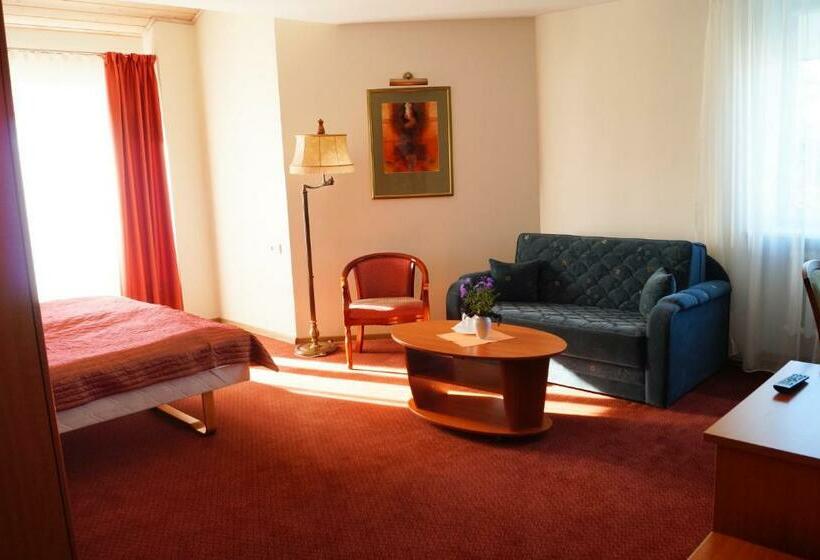 اتاق استاندارد, Motelis Smagratis Kretinga