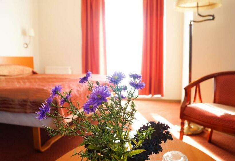 اتاق استاندارد, Motelis Smagratis Kretinga