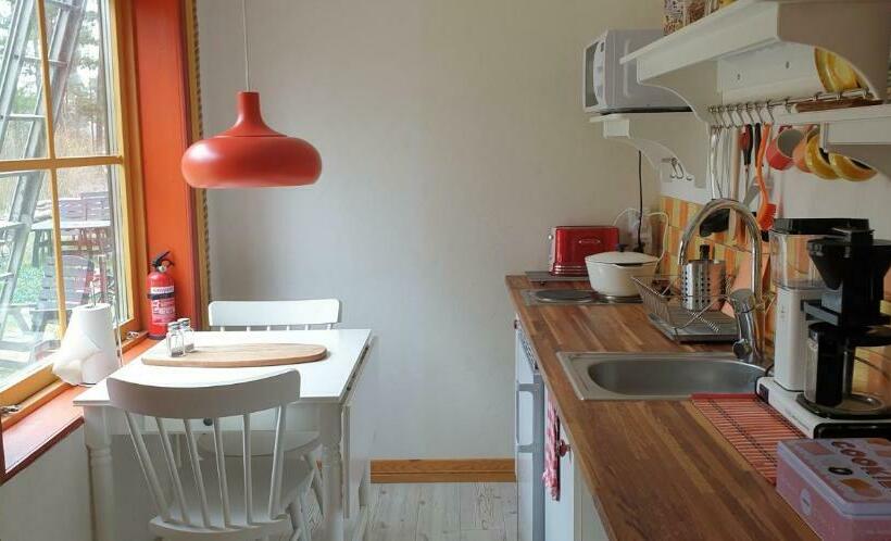 סטודיו בסיסי, Woodstock B & B Studios